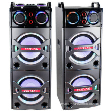 Double système de divertissement de karaoke de haut-parleur de PA de Bluetooth de 10 pouces, micro sans fil E246